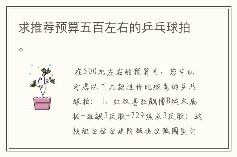 求推荐预算五百左右的乒乓球拍。