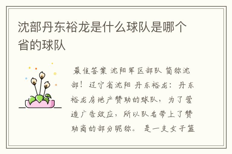 沈部丹东裕龙是什么球队是哪个省的球队