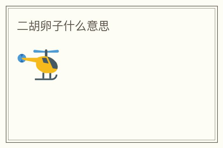 二胡卵子什么意思