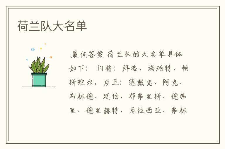 荷兰队大名单