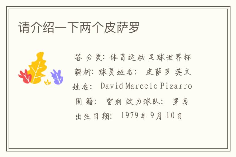 请介绍一下两个皮萨罗