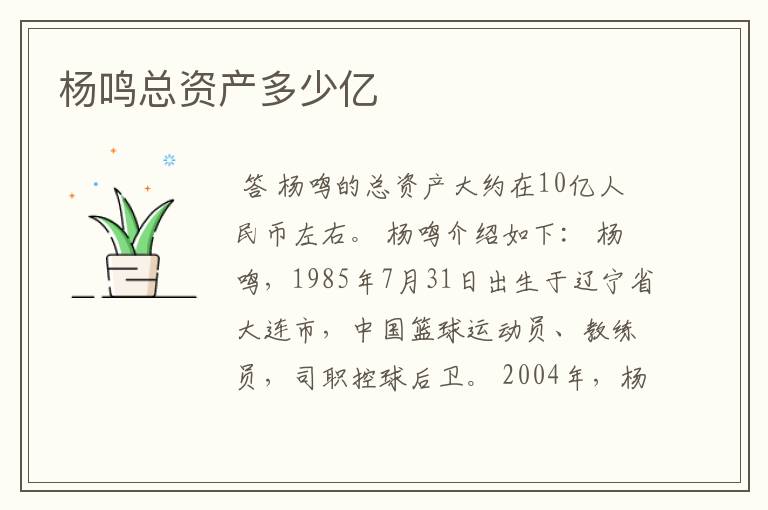 杨鸣总资产多少亿