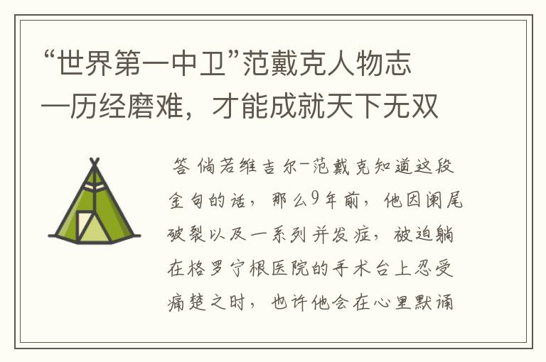 “世界第一中卫”范戴克人物志—历经磨难,才能成就天下无双