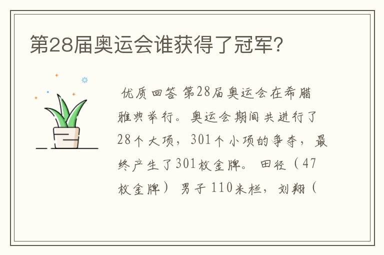 第28届奥运会谁获得了冠军？