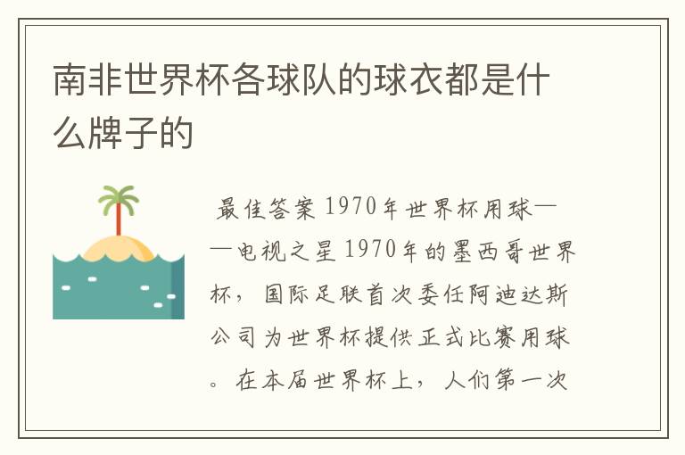 南非世界杯各球队的球衣都是什么牌子的