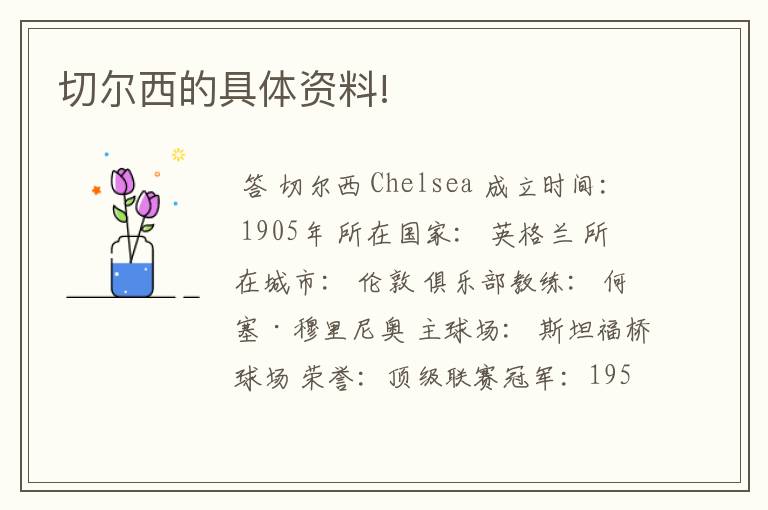 切尔西的具体资料!