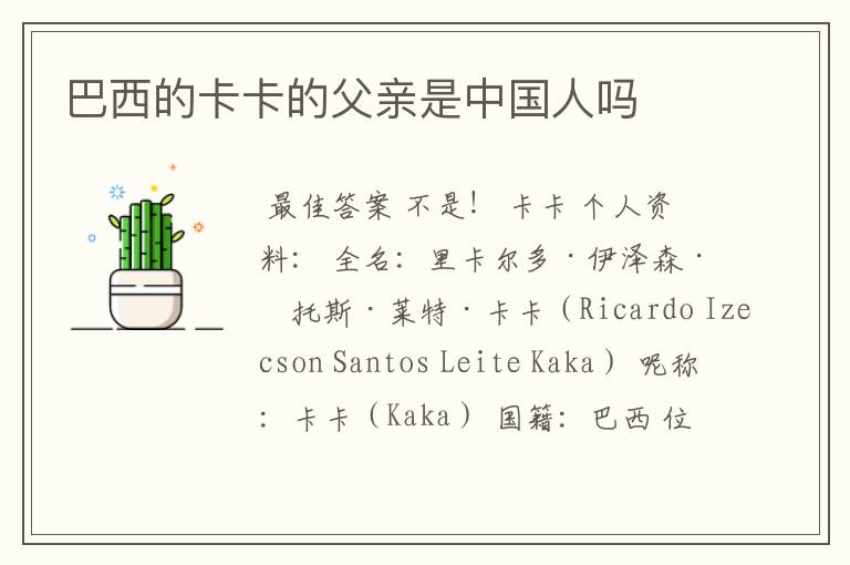 巴西的卡卡的父亲是中国人吗
