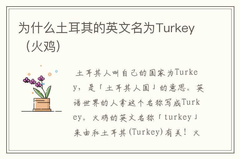 为什么土耳其的英文名为Turkey(火鸡)