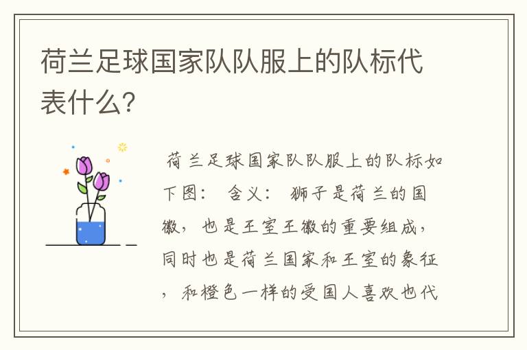 荷兰足球国家队队服上的队标代表什么?