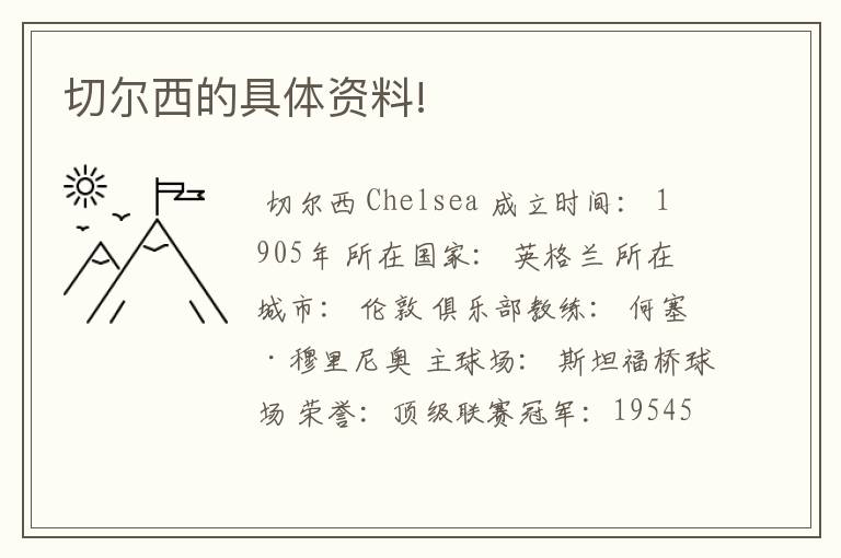 切尔西的具体资料!