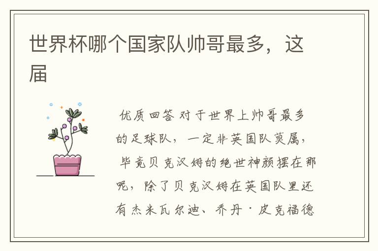 世界杯哪个国家队帅哥最多,这届