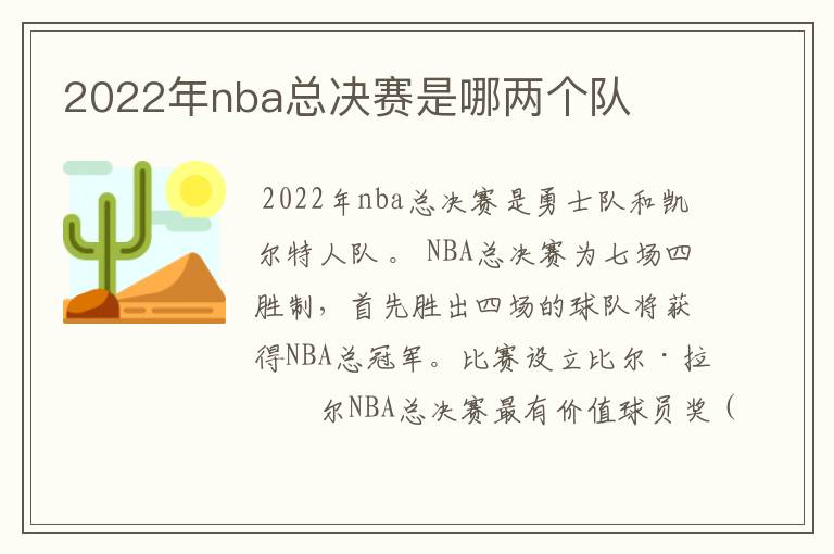 2022年nba总决赛是哪两个队