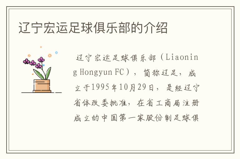 辽宁宏运足球俱乐部的介绍
