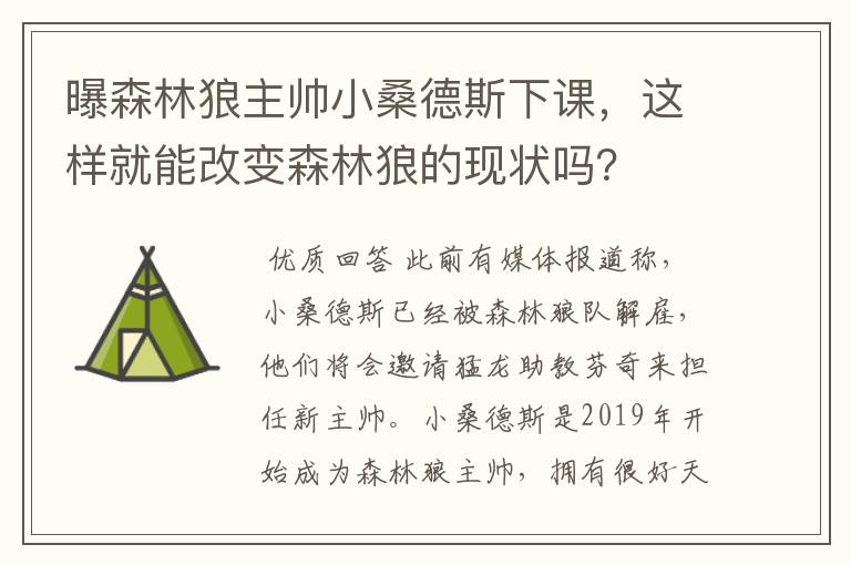 曝森林狼主帅小桑德斯下课,这样就能改变森林狼的现状吗?