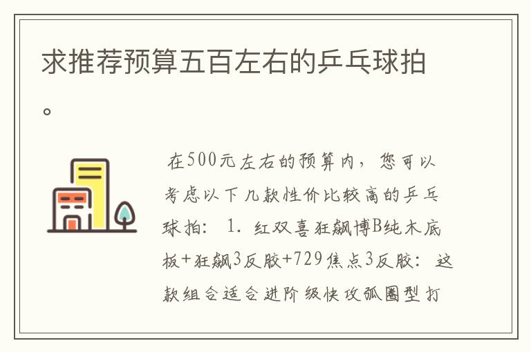 求推荐预算五百左右的乒乓球拍。