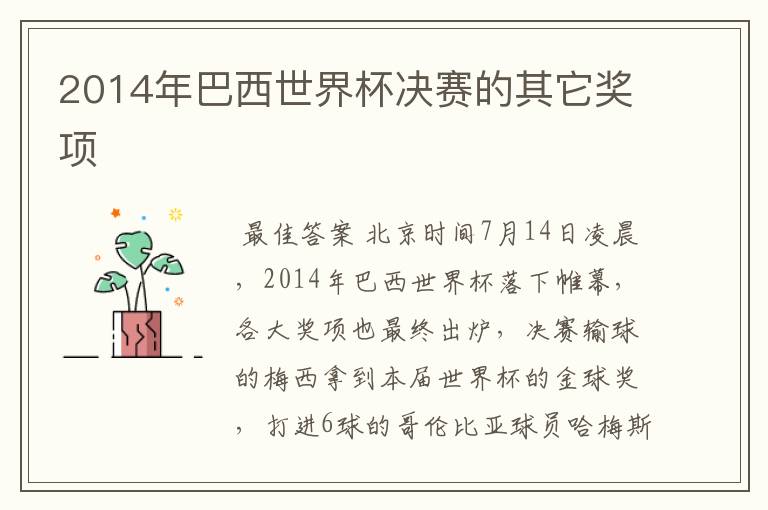 2014年巴西世界杯决赛的其它奖项