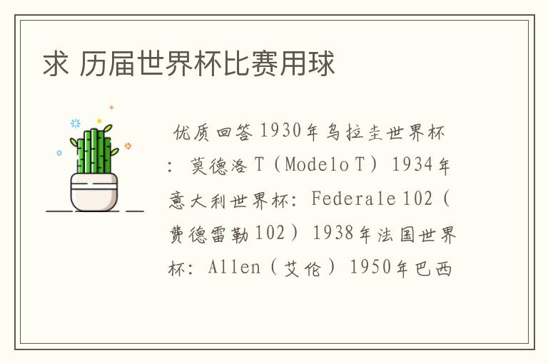 求 历届世界杯比赛用球