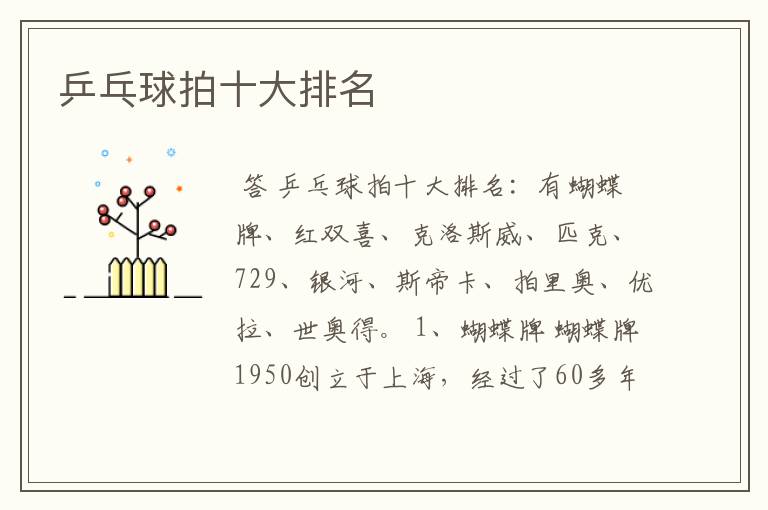 乒乓球拍十大排名