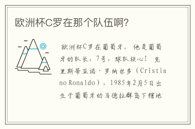 欧洲杯C罗在那个队伍啊?
