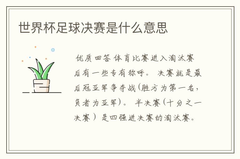 世界杯足球决赛是什么意思