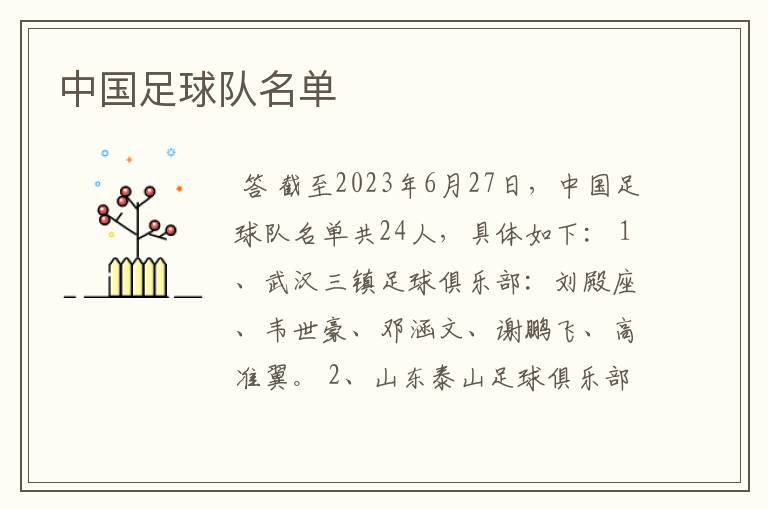 中国足球队名单
