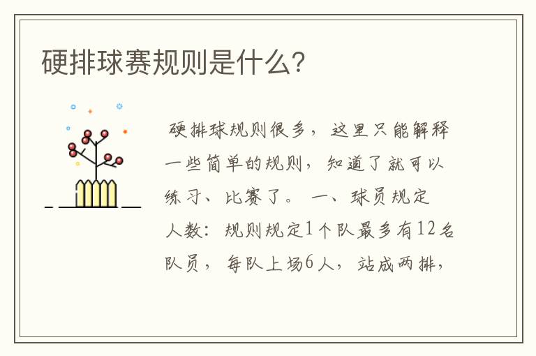 硬排球赛规则是什么?