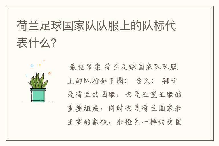 荷兰足球国家队队服上的队标代表什么？