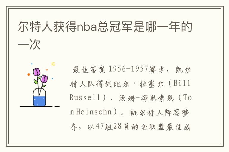 尔特人获得nba总冠军是哪一年的一次