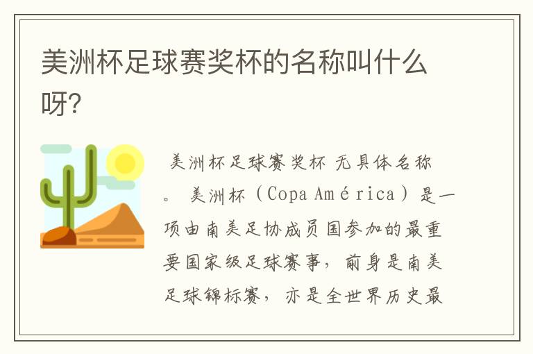 美洲杯足球赛奖杯的名称叫什么呀？