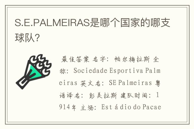 S.E.PALMEIRAS是哪个国家的哪支球队？