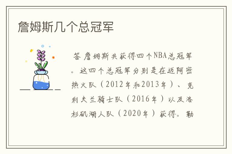 詹姆斯几个总冠军