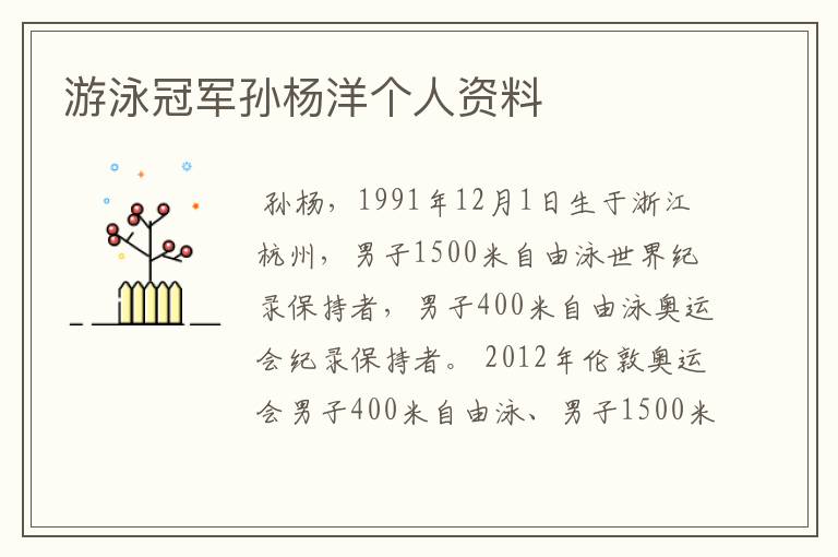 游泳冠军孙杨洋个人资料