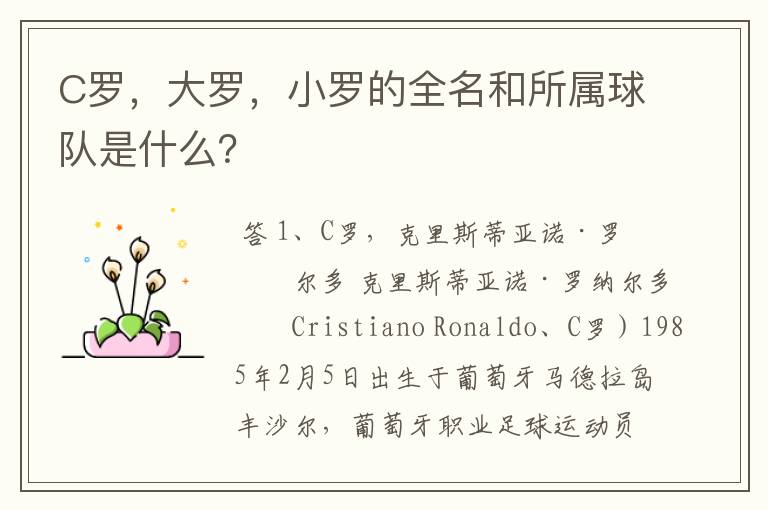 C罗,大罗,小罗的全名和所属球队是什么?