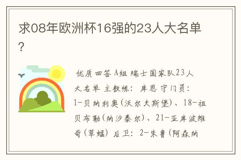 求08年欧洲杯16强的23人大名单?