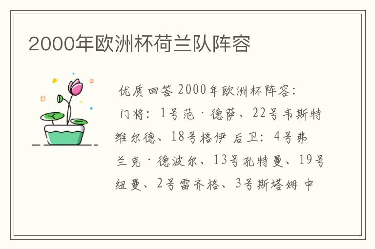 2000年欧洲杯荷兰队阵容