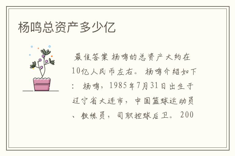 杨鸣总资产多少亿
