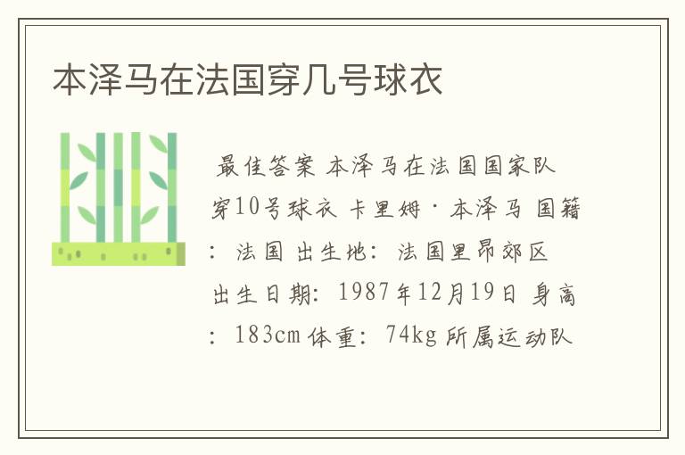 本泽马在法国穿几号球衣