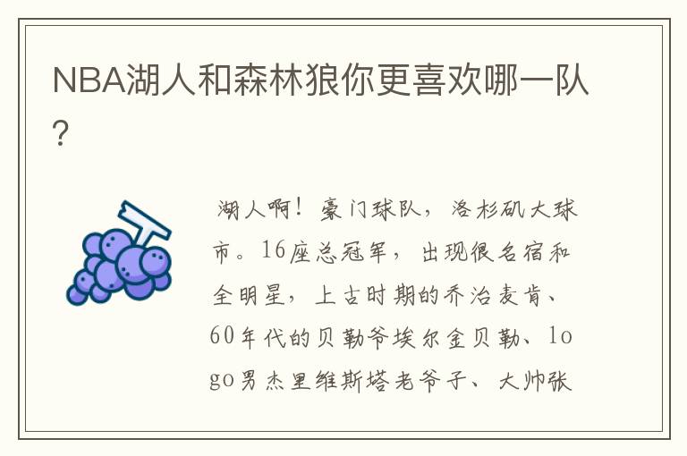 NBA湖人和森林狼你更喜欢哪一队？