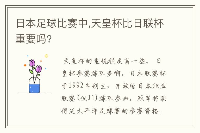 日本足球比赛中,天皇杯比日联杯重要吗?