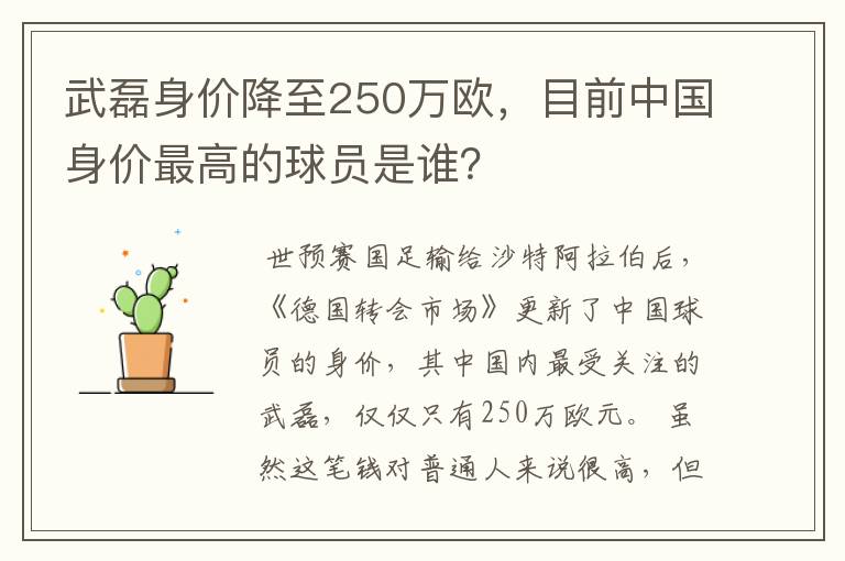 武磊身价降至250万欧,目前中国身价最高的球员是谁?