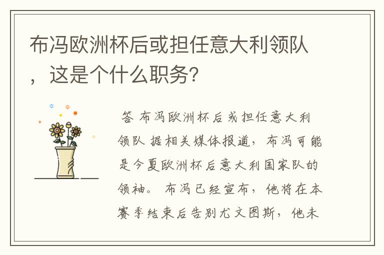 布冯欧洲杯后或担任意大利领队，这是个什么职务？