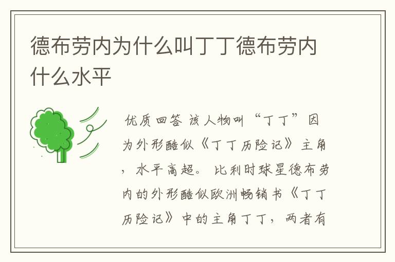 德布劳内为什么叫丁丁德布劳内什么水平