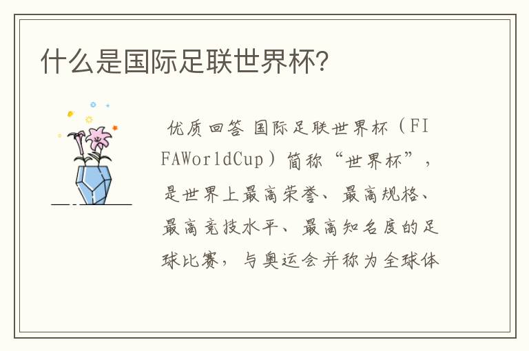 什么是国际足联世界杯？