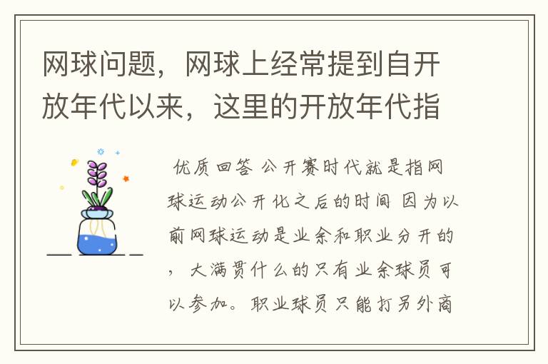 网球问题，网球上经常提到自开放年代以来，这里的开放年代指什么？
