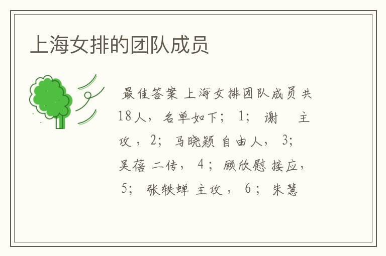 上海女排的团队成员