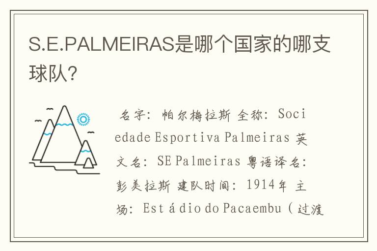 S.E.PALMEIRAS是哪个国家的哪支球队？