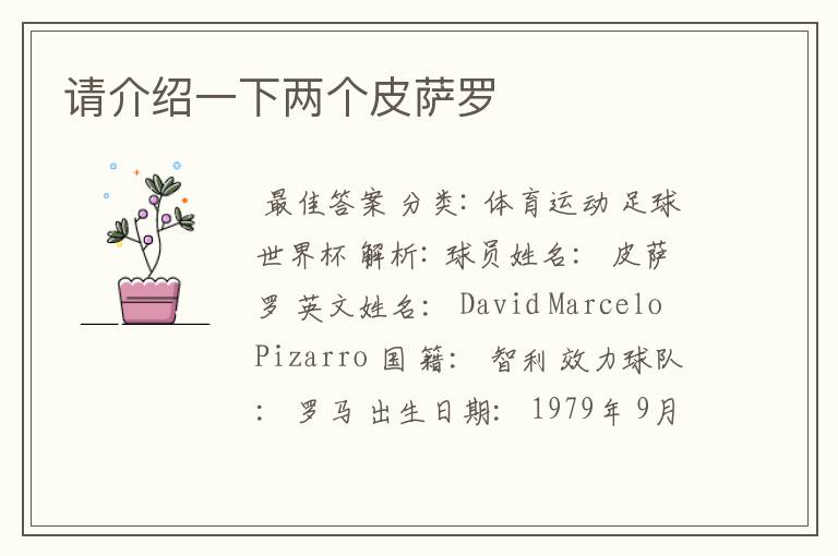 请介绍一下两个皮萨罗