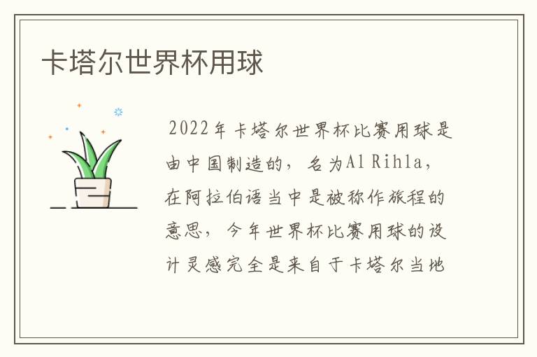 卡塔尔世界杯用球