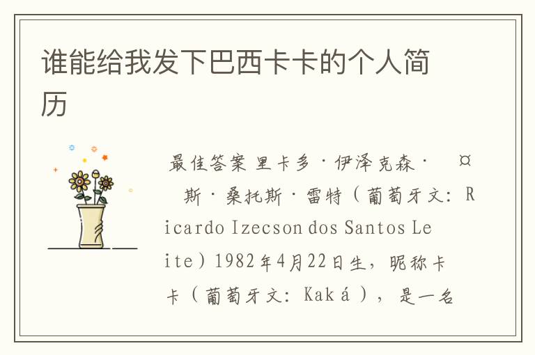 谁能给我发下巴西卡卡的个人简历
