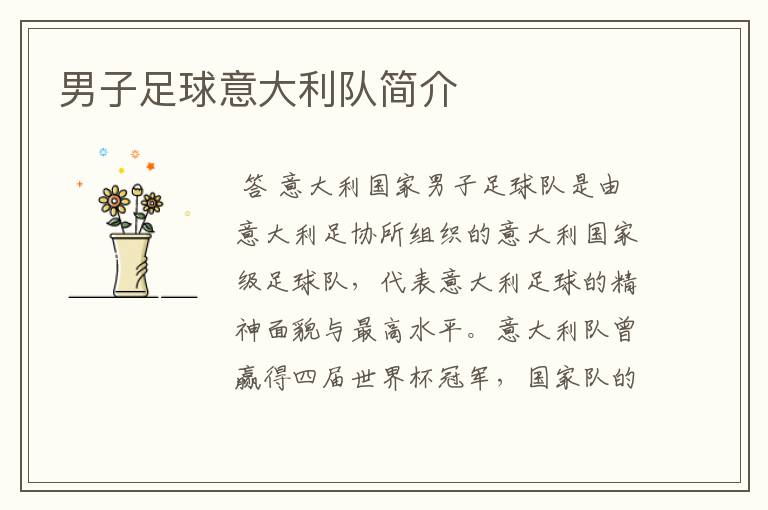 男子足球意大利队简介